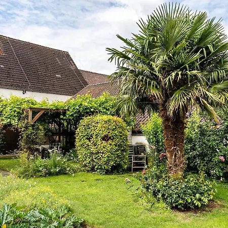 Schneider * Sasbach am Kaiserstuhl