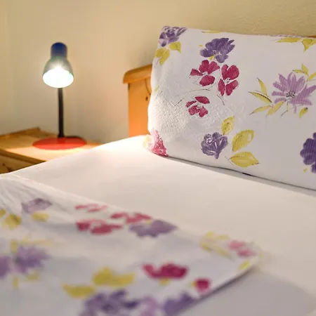 Apartament Schneider *